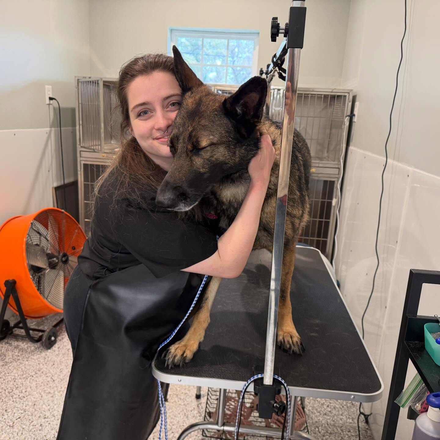 A Pleasant Paws team member gently caring for a dog on the grooming table
