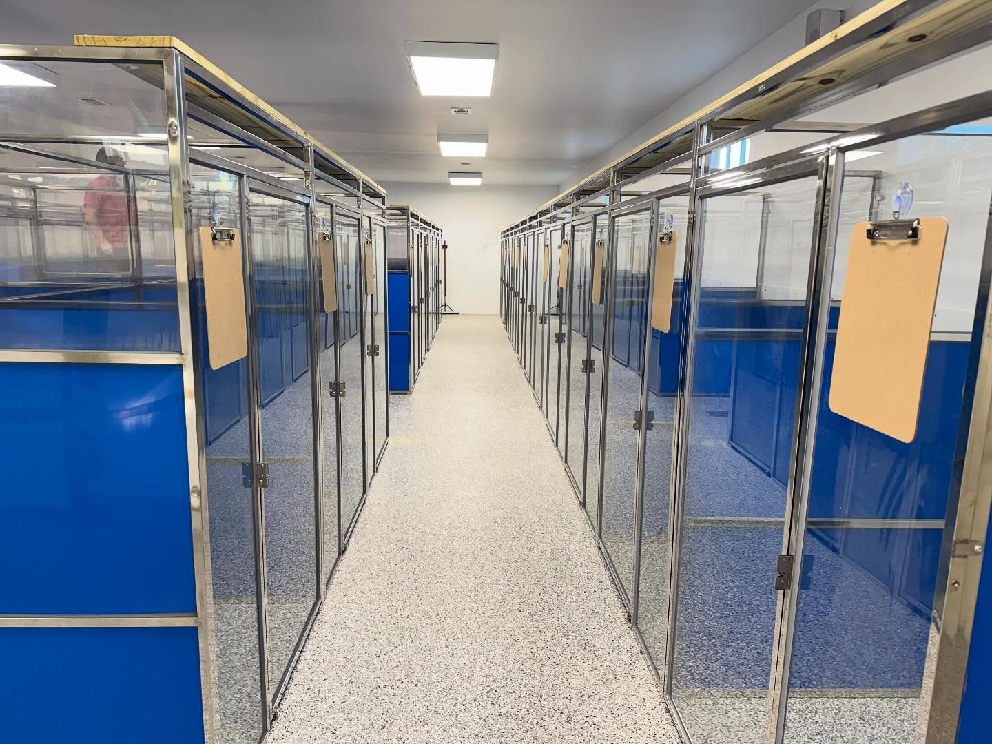 Rows of clean, spacious dog boarding suites at Pleasant Paws
